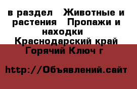  в раздел : Животные и растения » Пропажи и находки . Краснодарский край,Горячий Ключ г.